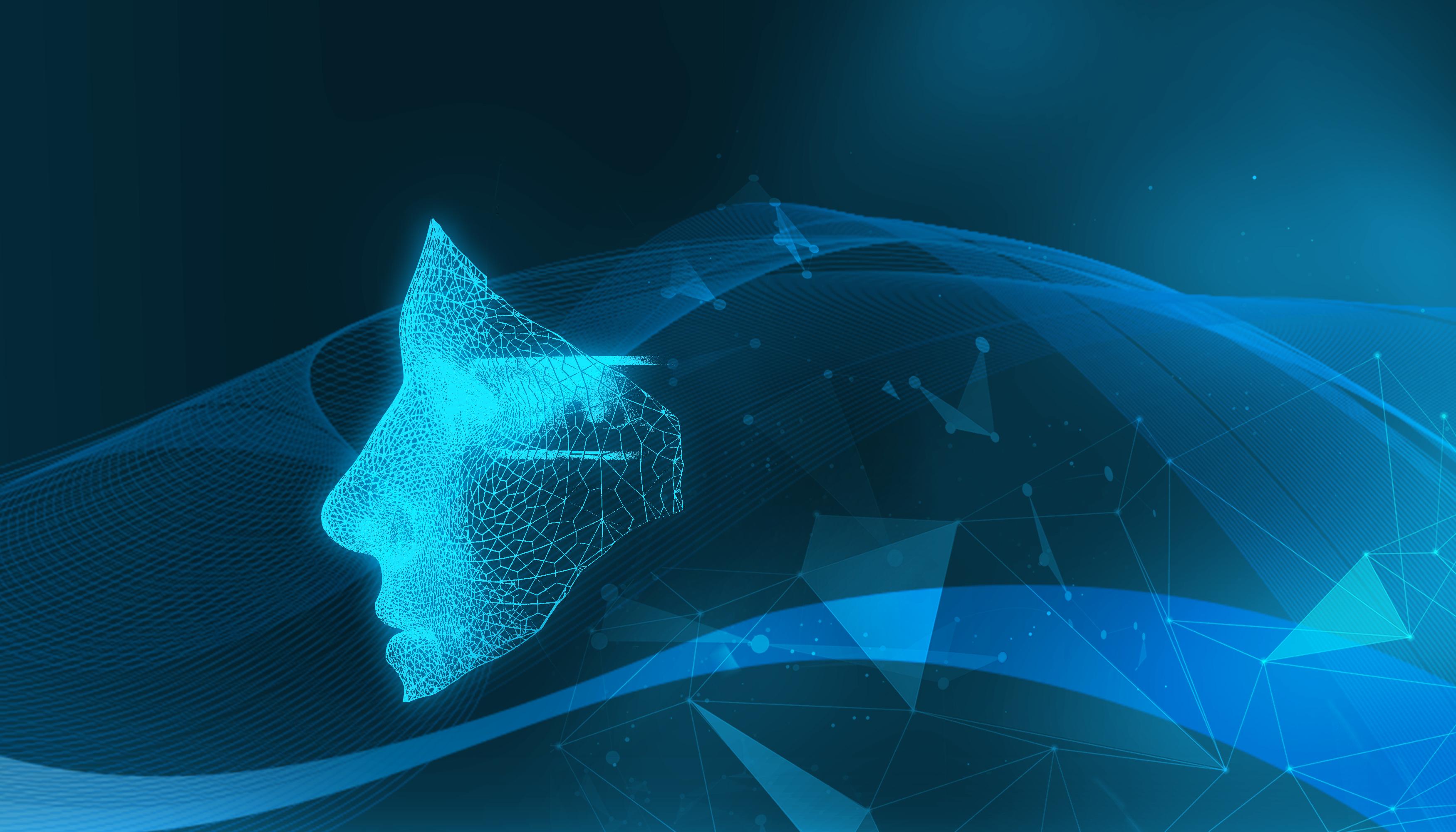 梅州结束防风防汛Ⅳ级应急响应